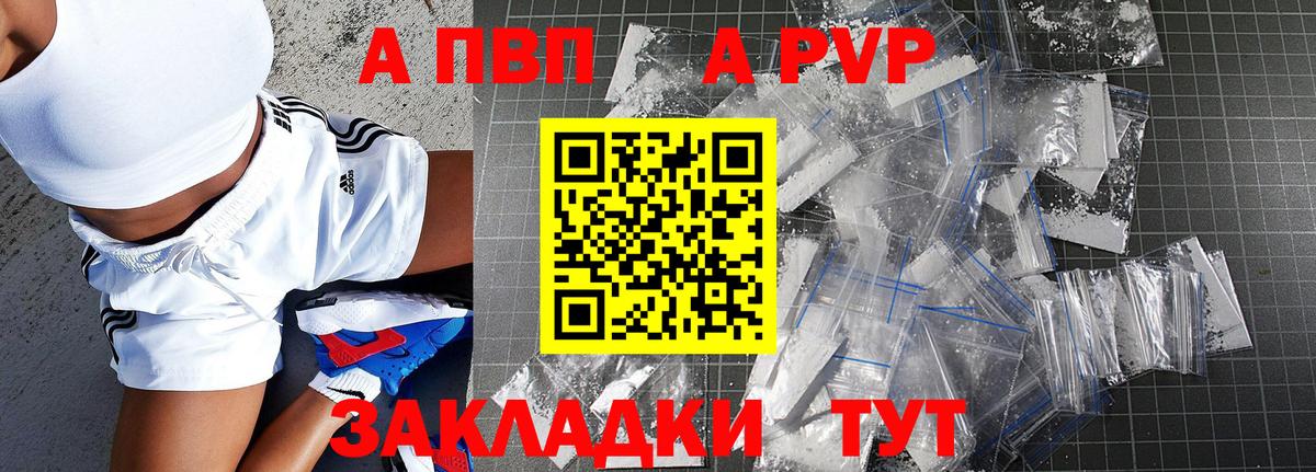 Альфа ПВП СК Чита