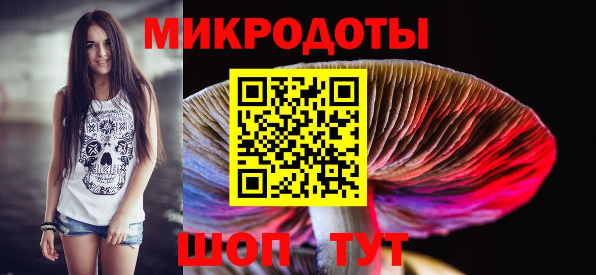 Галлюциногенные грибы Cubensis Чита